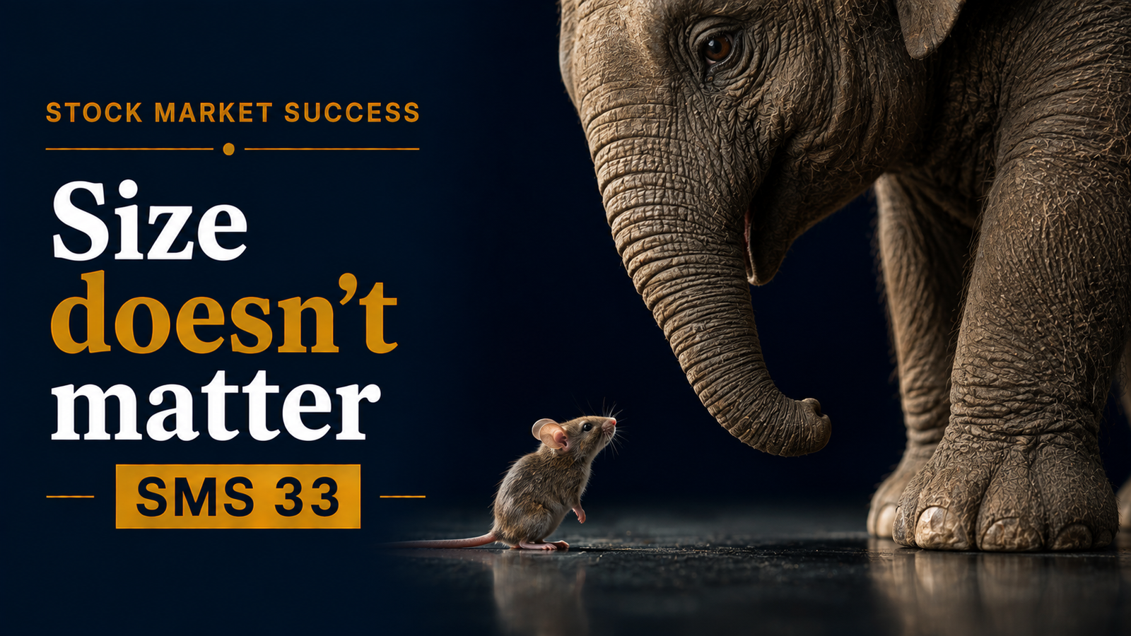Size doesn’t matter – SMS 33
