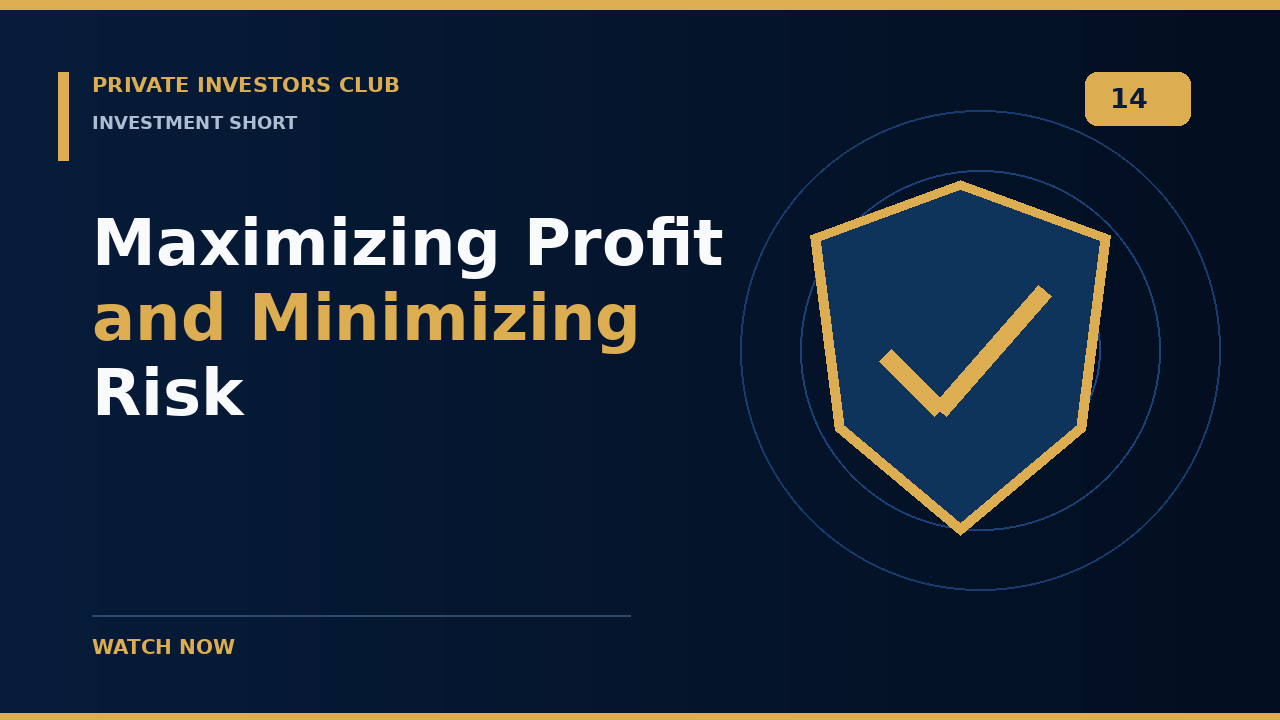 Maximizing Profit and Minimizing Risk