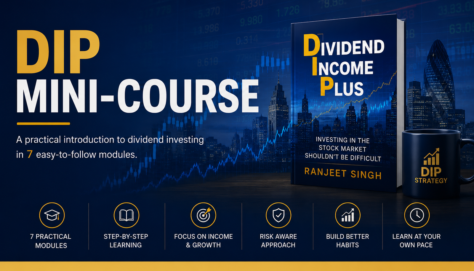 DIP Mini-Course